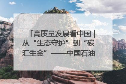 高质量发展看中国｜从“生态守护”到“碳汇生金”——中国石油大庆油田绿色蝶变