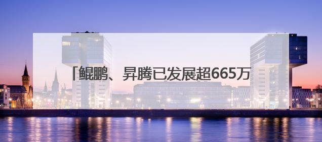 鲲鹏、昇腾已发展超665万开发者，今年将进一步开放