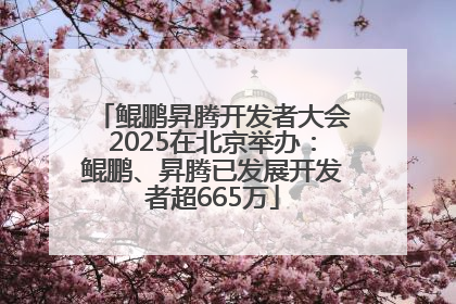 鲲鹏昇腾开发者大会2025在北京举办：鲲鹏、昇腾已发展开发者超665万