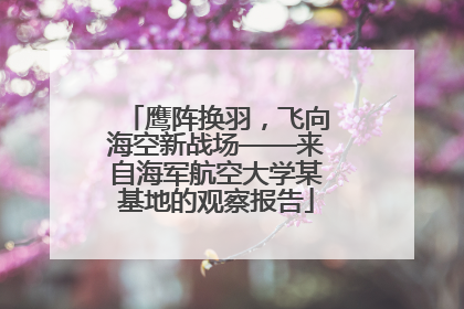 鹰阵换羽，飞向海空新战场——来自海军航空大学某基地的观察报告