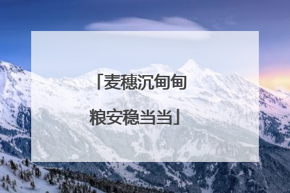 麦穗沉甸甸 粮安稳当当