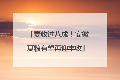 麦收过八成！安徽夏粮有望再迎丰收