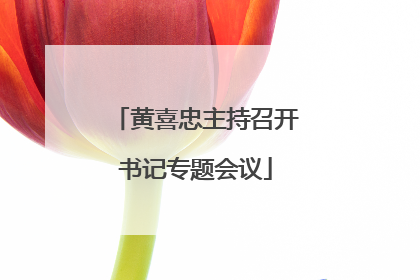 黄喜忠主持召开书记专题会议