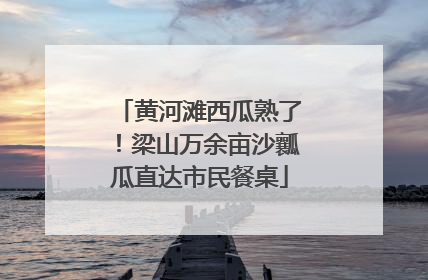 黄河滩西瓜熟了！梁山万余亩沙瓤瓜直达市民餐桌