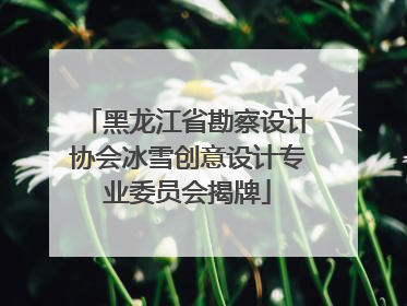 黑龙江省勘察设计协会冰雪创意设计专业委员会揭牌