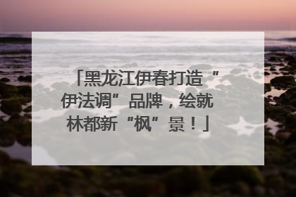 黑龙江伊春打造“伊法调”品牌，绘就林都新“枫”景！