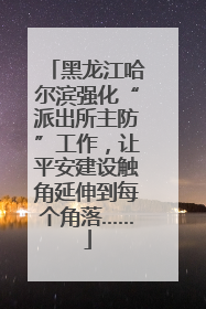 黑龙江哈尔滨强化“派出所主防”工作，让平安建设触角延伸到每个角落……