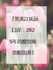 黑龙江抚远口岸：2025年首艘出境货船出港