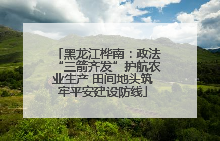 黑龙江桦南：政法“三箭齐发”护航农业生产 田间地头筑牢平安建设防线