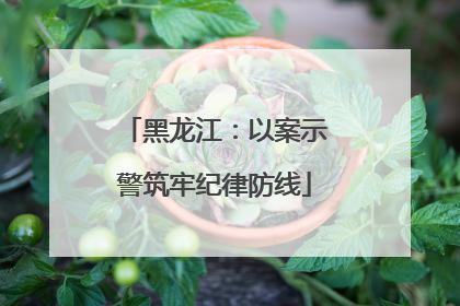 黑龙江：以案示警筑牢纪律防线