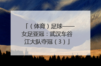 （体育）足球——女足亚冠：武汉车谷江大队夺冠（3）