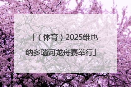 （体育）2025维也纳多瑙河龙舟赛举行