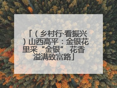 （乡村行·看振兴）山西高平：金银花里采“金银” 花香溢满致富路
