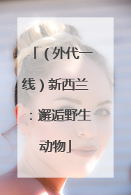 （外代一线）新西兰：邂逅野生动物
