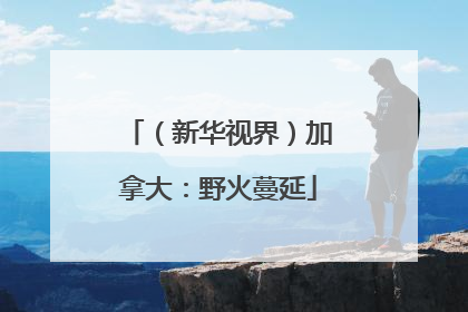 （新华视界）加拿大：野火蔓延