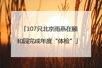 107只北京雨燕在颐和园完成年度“体检”