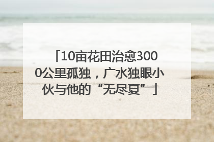 10亩花田治愈3000公里孤独，广水独眼小伙与他的“无尽夏”