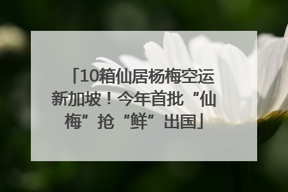 10箱仙居杨梅空运新加坡！今年首批“仙梅”抢“鲜”出国
