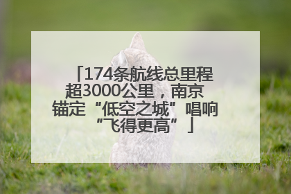 174条航线总里程超3000公里，南京锚定“低空之城”唱响“飞得更高”