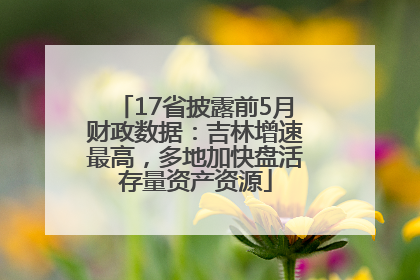 17省披露前5月财政数据：吉林增速最高，多地加快盘活存量资产资源