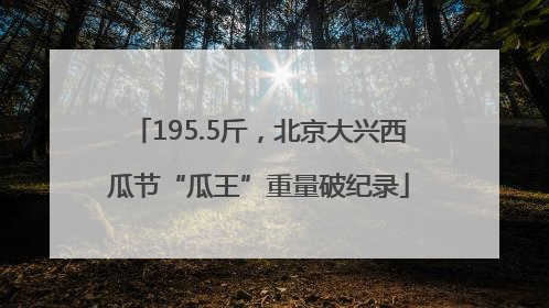 195.5斤，北京大兴西瓜节“瓜王”重量破纪录
