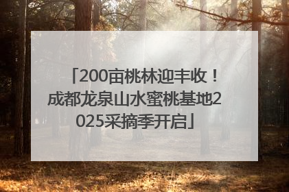 200亩桃林迎丰收！成都龙泉山水蜜桃基地2025采摘季开启