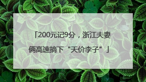 200元记9分，浙江夫妻俩高速摘下“天价李子”