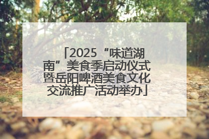 2025“味道湖南”美食季启动仪式暨岳阳啤酒美食文化交流推广活动举办