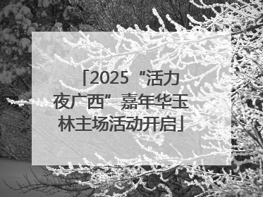 2025“活力夜广西”嘉年华玉林主场活动开启