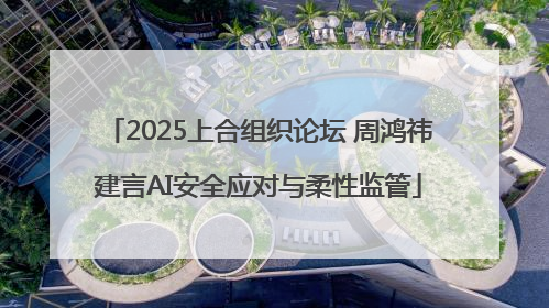 2025上合组织论坛 周鸿祎建言AI安全应对与柔性监管