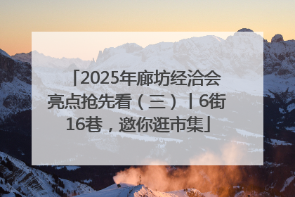 2025年廊坊经洽会亮点抢先看（三）丨6街16巷，邀你逛市集