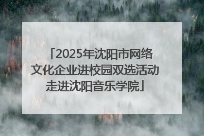 2025年沈阳市网络文化企业进校园双选活动走进沈阳音乐学院