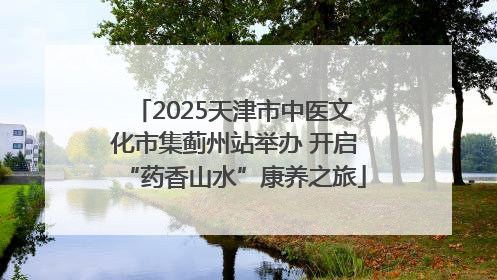 2025天津市中医文化市集蓟州站举办 开启“药香山水”康养之旅