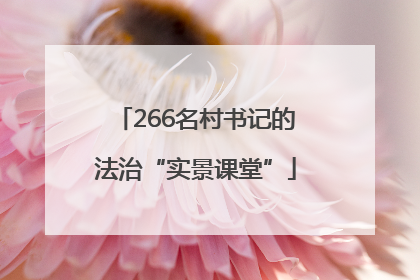 266名村书记的法治“实景课堂”