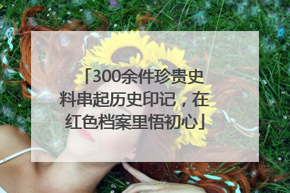 300余件珍贵史料串起历史印记，在红色档案里悟初心