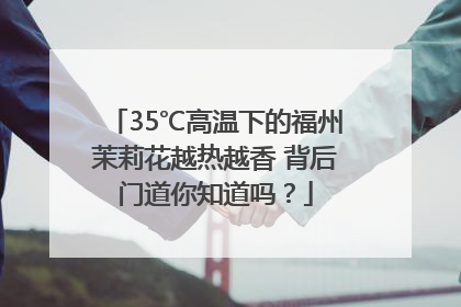35℃高温下的福州茉莉花越热越香 背后门道你知道吗？