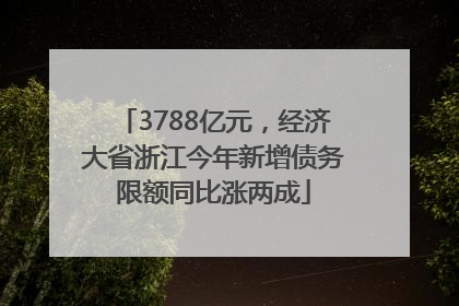 3788亿元，经济大省浙江今年新增债务限额同比涨两成