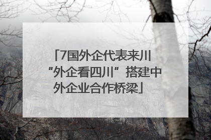 7国外企代表来川 “外企看四川”搭建中外企业合作桥梁
