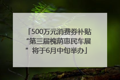 500万元消费券补贴 “第三届槐荫惠民车展”将于6月中旬举办