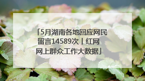 5月湖南各地回应网民留言14589次丨红网网上群众工作大数据