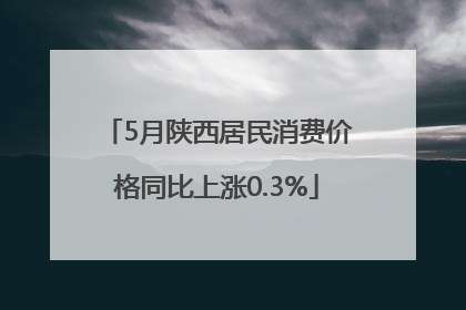 5月陕西居民消费价格同比上涨0.3%