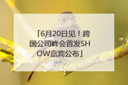 6月20日见！跨国公司峰会首发SHOW嘉宾公布