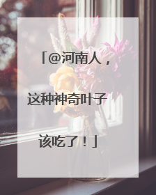 @河南人，这种神奇叶子该吃了！