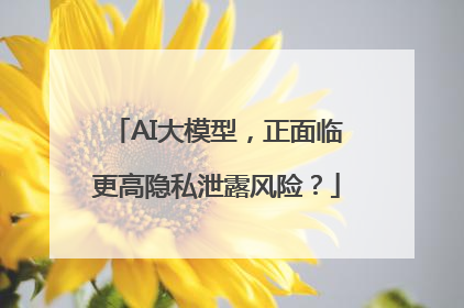 AI大模型，正面临更高隐私泄露风险？