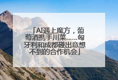 AI遇上魔方，葡萄酒携手川菜……匈牙利和成都碰出意想不到的合作机会