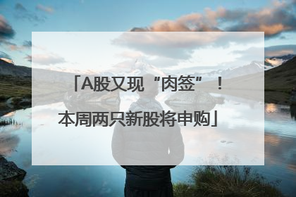 A股又现“肉签”！本周两只新股将申购
