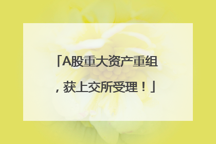 A股重大资产重组，获上交所受理！