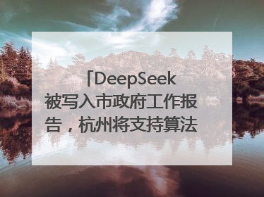 DeepSeek被写入市政府工作报告，杭州将支持算法模型企业发展