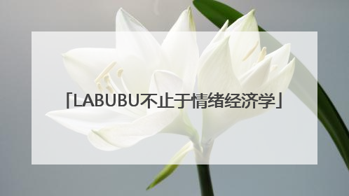 LABUBU不止于情绪经济学