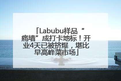 Labubu样品“痛墙”成打卡地标！开业4天已被挤爆，堪比早高峰菜市场
